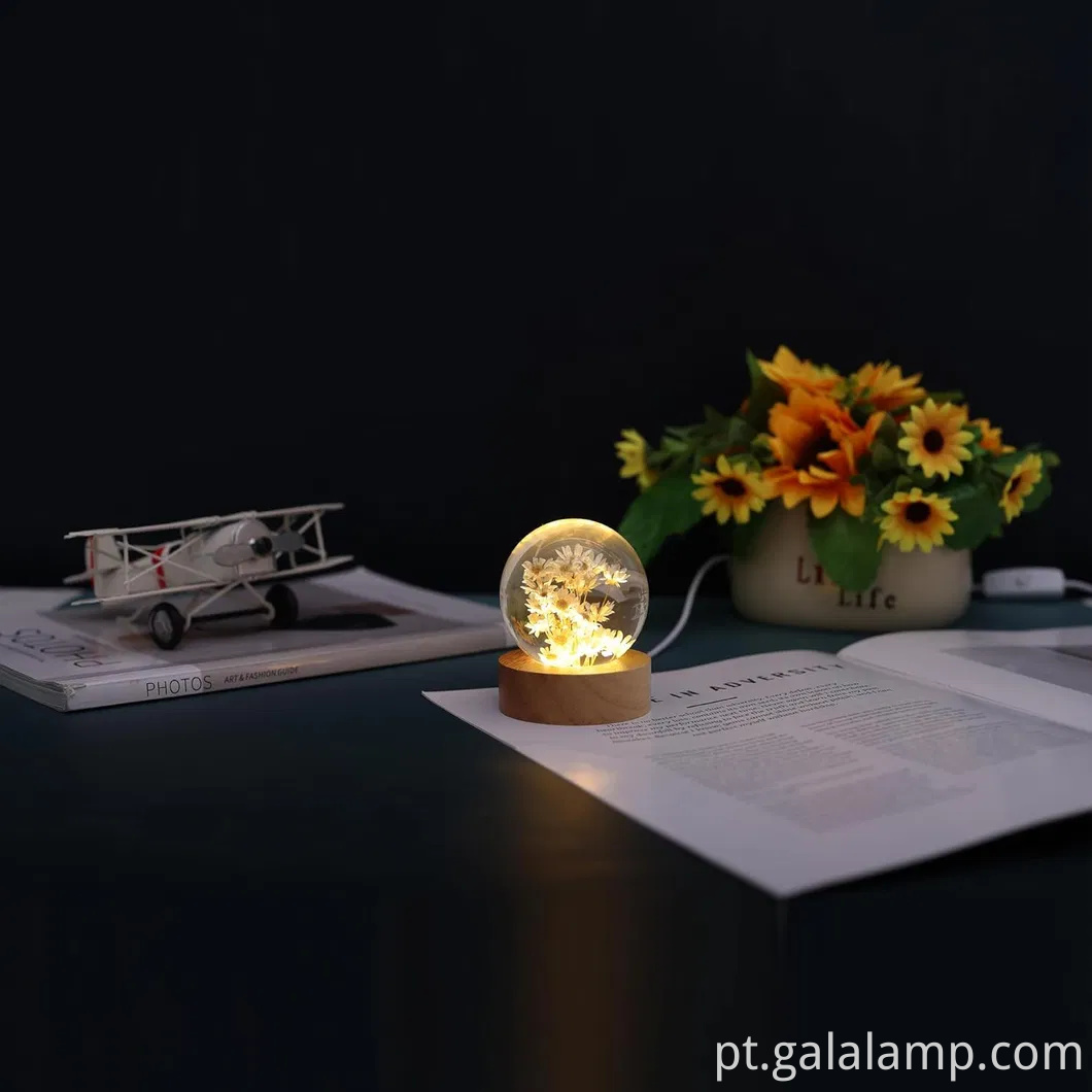 Luz noturna eterna da flor, o presente que nunca murcha